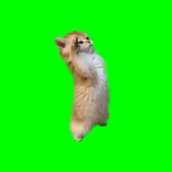 Sinfulsteve