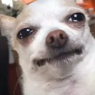 spagkagaguee