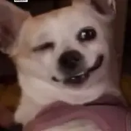 kenchana