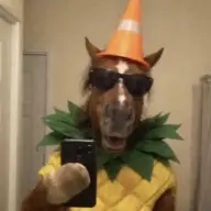 pineappleneigh