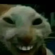kopoii