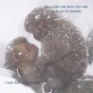 itsyoboitung