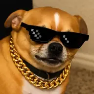 icevlad