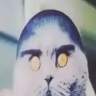 mrpulgoso