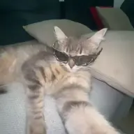 Cuecue