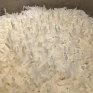 elakamlaber