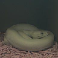 abcnamxyz123