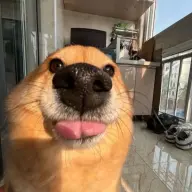 potatogun1234