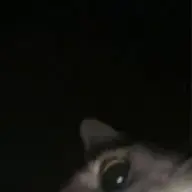 Grnx