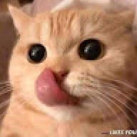 kittykkk