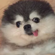 tebanplays14