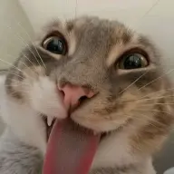 Pandesalsaumaga