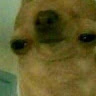 fegeghdgxgxg