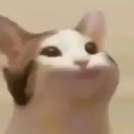 Absolutebisaya