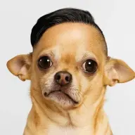 milagroso