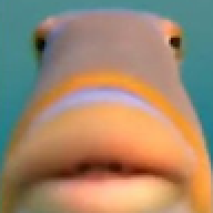 holdenalotacox