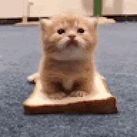 pancitkantot69