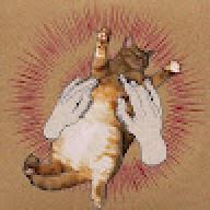 catsandcatsagain