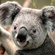 CoyoteFerguson