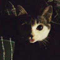 bbz