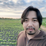 Parapatapok