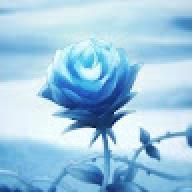 Bluerose