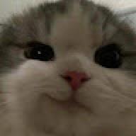 ipoomsocute