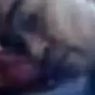 BVN