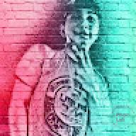fern_123