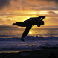 kauak