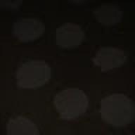zzcxxxvbn