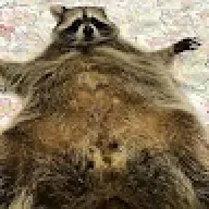 Kajz