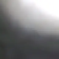 z1000