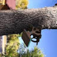 polki