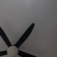 the_mangoaviator