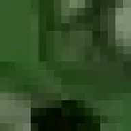 6Bran9