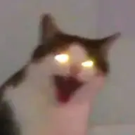 yuraa02