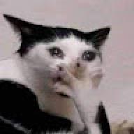 heyjudeyes