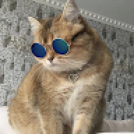 ballsak420