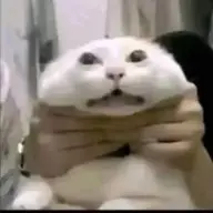 Hahagw