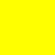 yellow turtle