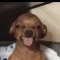 N O T I C E