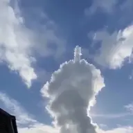 bob20