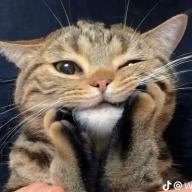 sayuuu