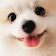 Guy_Fawks1