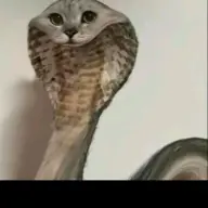 jijijijj