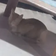 hellotony24