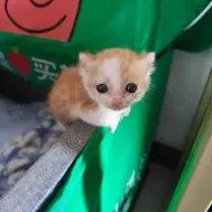 aaaaaayhb