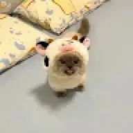 UserC89