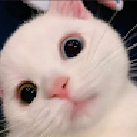 benskie